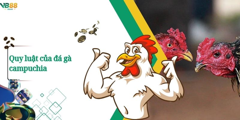 Quy luật của đá gà campuchia