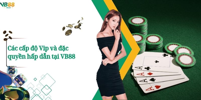 Các cấp độ Vip và đặc quyền hấp dẫn tại VB88