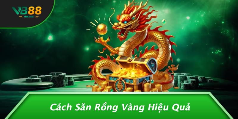 Cách Săn Rồng Vàng Hiệu Quả